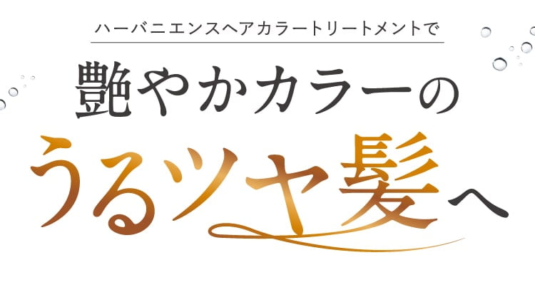 艶やかカラーのうるツヤ髪へ