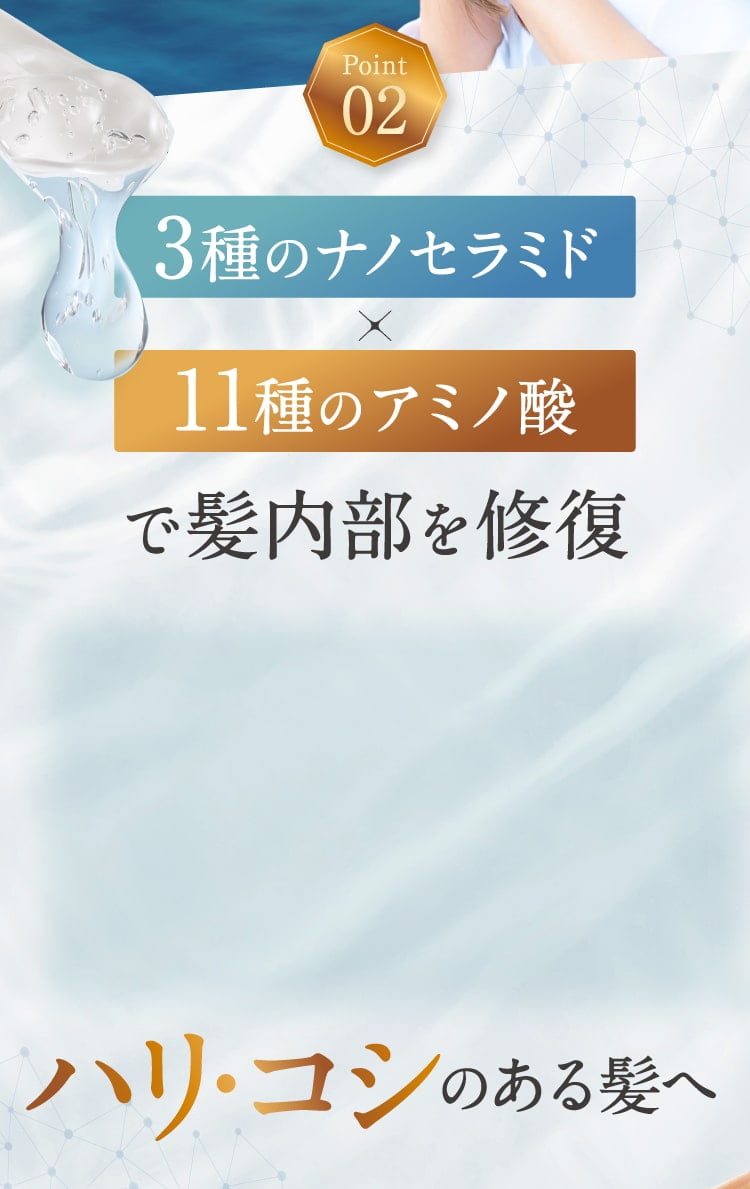 ナノセラミドとアミノ酸で髪内部を修復